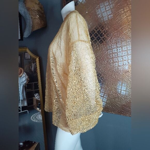 NWT Zara Elegant Gold Sheer Women's Top - Picture 8 of 16